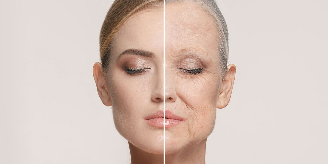 image of womans face split in half. One side showing youthful skin and the other showing ageing skin